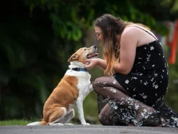 Sarah Day, founder of The Barkyard Club, crouching down to greet a club dog